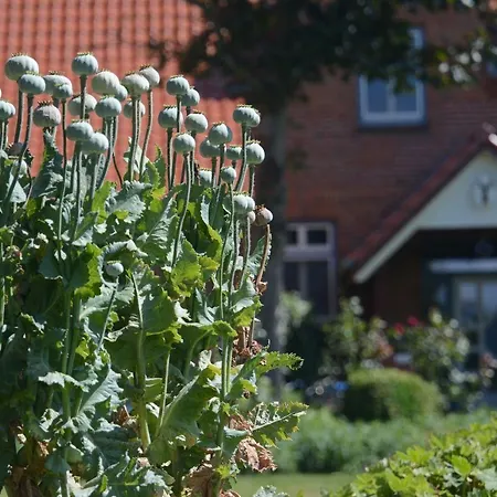 Hof Brinker - Haffblick Apartment Boiensdorf